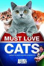 Watch Must Love Cats 2KMovies