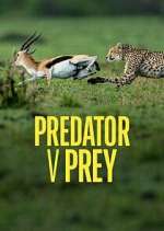 Watch Predator v Prey 2KMovies
