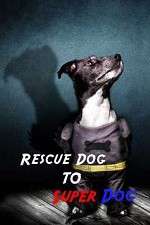 Watch Rescue Dog to Super Dog 2KMovies