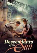 Watch Descendants of the Sun 2KMovies