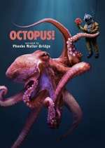 Watch Octopus! 2KMovies
