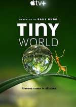 Watch Tiny World 2KMovies