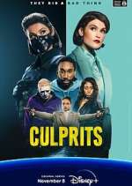 Watch Culprits 2KMovies