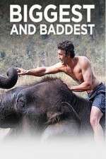 Watch Biggest and Baddest 2KMovies