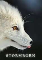 Watch Stormborn 2KMovies