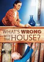 Watch What's Wrong With That House? 2KMovies
