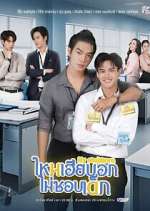 Watch My Stubborn 2KMovies