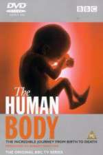 Watch The Human Body 2KMovies