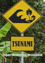 Watch Tsunami 2KMovies