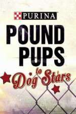 Watch Purina Pound Pups To Dog Stars 2KMovies
