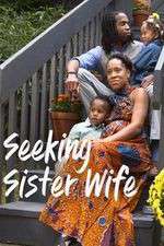 Watch Seeking Sister Wife 2KMovies