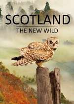 Watch Scotland - The New Wild 2KMovies