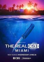 Watch The Real CSI: Miami 2KMovies