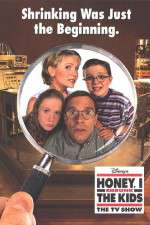 Watch Honey I Shrunk the Kids The TV Show 2KMovies