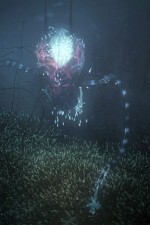 Watch Into the Universe with Stephen Hawking 2KMovies