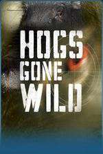 Watch Hogs Gone Wild 2KMovies