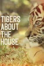 Watch Tigers About the House 2KMovies