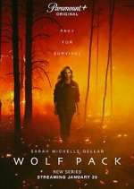 Watch Wolf Pack 2KMovies
