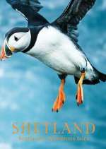 Watch Shetland: Scotland's Wondrous Isles 2KMovies