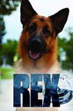Watch Hudson & Rex 2KMovies