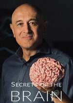 Watch Secrets of the Brain 2KMovies
