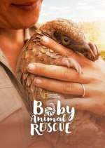 Watch Baby Animal Rescue 2KMovies