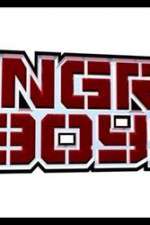 Watch Angry Boys 2KMovies