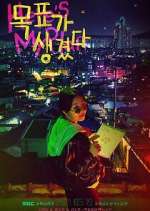 Watch Here's My Plan 2KMovies