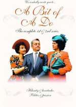 Watch A Bit of a Do 2KMovies