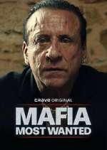 Watch Mafia: Most Wanted 2KMovies