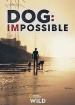 Watch Dog: Impossible 2KMovies