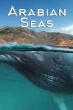 Watch Arabian Seas 2KMovies