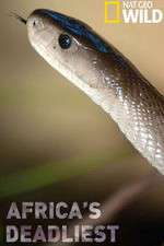 Watch Africas Deadliest 2KMovies
