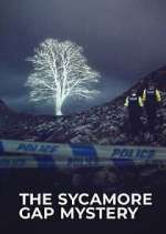 Watch The Sycamore Gap Tree Mystery 2KMovies