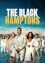 Watch Carl Weber's The Black Hamptons 2KMovies