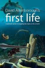 Watch David Attenborough's First Life 2KMovies