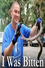 Watch I Was Bitten 2KMovies