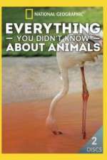 Watch Everything You Didnt Know About Animals 2KMovies