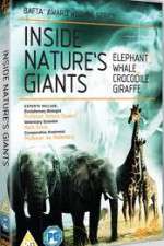 Watch Inside Nature's Giants 2KMovies