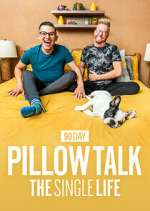 Watch 90 Day Pillow Talk: The Single Life 2KMovies