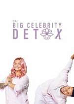Watch The Big Celebrity Detox 2KMovies