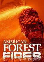 Watch American Forest Fires: The Untold Story 2KMovies