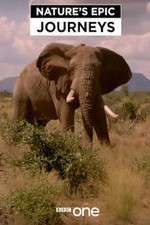 Watch Nature's Epic Journeys 2KMovies