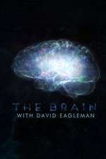 Watch The Brain with Dr David Eagleman 2KMovies