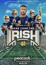 Watch Here Come The Irish 2KMovies