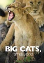 Watch Big Cats, Small World 2KMovies