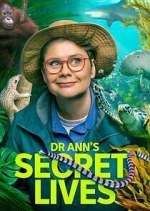 Watch Dr Ann\'s Secret Lives 2KMovies
